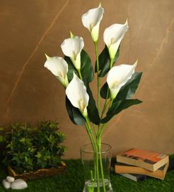 White Polyurethane Real Touch Artificial Callalily Flowers, Set of 2