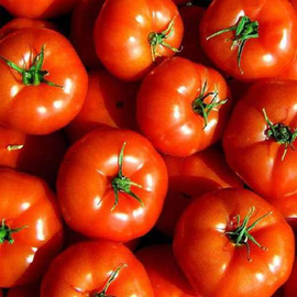  Tomato Marglobe - Organic Vegetable Seeds