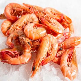 Fresh Prawns - Medium Size