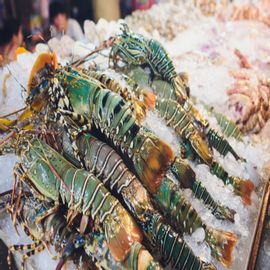 king Size Lobster