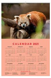 Imagine Printing Solutions Calendars for 2023 Year with Beautiful Prints Planner Calendar