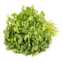 Coriander