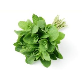 Mint