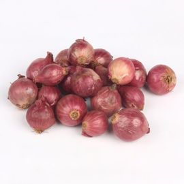Onion Sambar