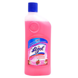 Lizol Surface Cleaner - Disinfectant, Floral