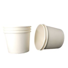 70ml (Slim cup) Plain 