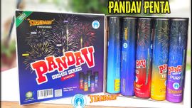 PANDAV (5PCS)