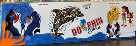 Dolphin Show
