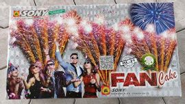 10×10 Fun sonny fancy