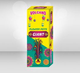Flower Pot Giant