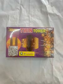 TWIN TOWER
