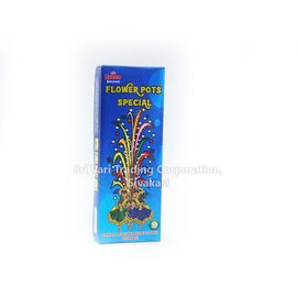 FLOWER POT SPECIAL (10 PCS)