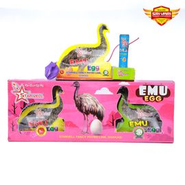 NEW EMU EGG (2PCS) SPECIAL PRICE NEW EMU EGG (2PCS) SPECIAL PRICE