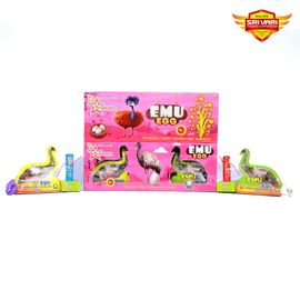 NEW EMU EGG (2PCS) SPECIAL PRICE