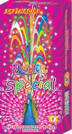 Flower Pots Special