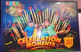 10 x 10 PYRO GARDEN (Mega Display)