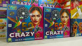 50 Shot Multi colour