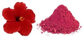 Organic Hibiscus Powder