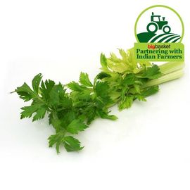 Fresho Celery