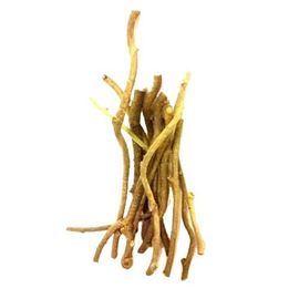 Fresho Neem Giloy (Amruta Balli) - Organically Grown