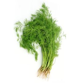 Fresho Dill Leaves