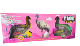 Emu Egg 2pcs