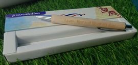 pen with safety box