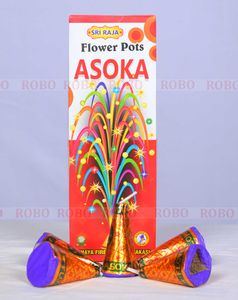 Flower Pot Ashoka