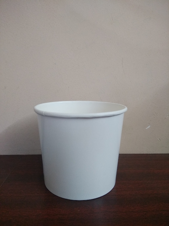 Paper Bowel 250 ML plain cup box