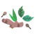Herbs and Seasoning